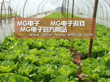 种植基地五