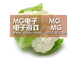 产品名称九