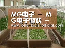 环境展示五