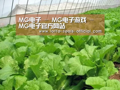 种植基地一