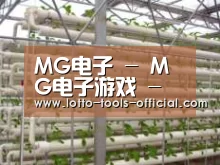 环境展示六