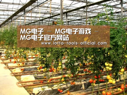 种植基地二(图1)