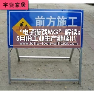 电子游戏MG官网