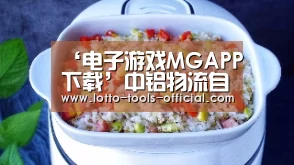 电子游戏MG