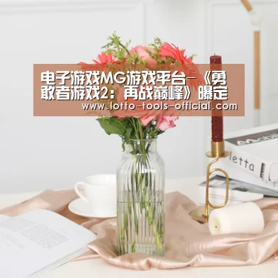 电子游戏MG