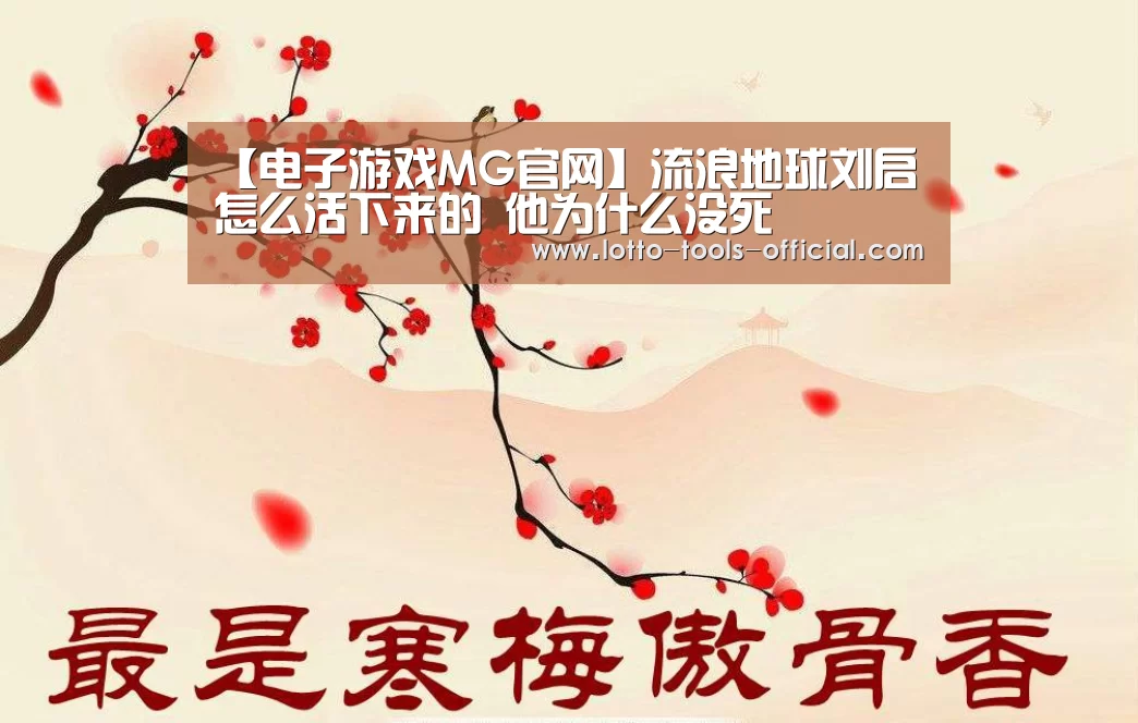 电子游戏MG官网